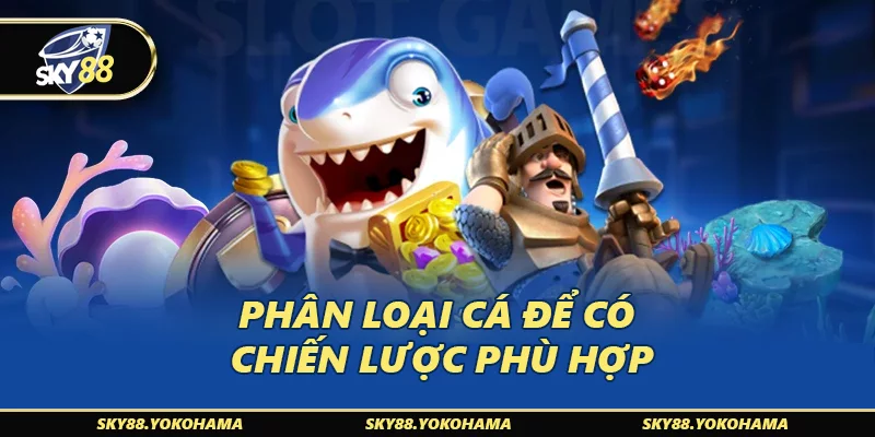 Phân loại cá để có chiến lược phù hợp